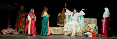 Imagen-41